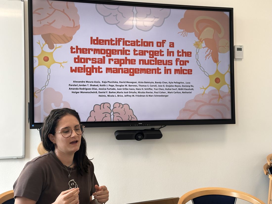 Elisa Mazzoleni presenting a journal club on a paper about a thermogenic target in the dorsal raphe nucleus.